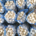 Good Quality of Fresh White Garlic From Jinxiang